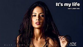 Its my life Pirogov (DJAY LARRY MIX)