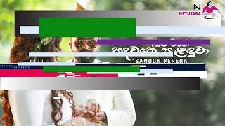 Oba Mage Hadawathe Palanduwa Choka Baila Dance Mix By Djz Rowdy Nethsara (D R N Remix)thumbnail