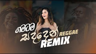 Sinhala Reggae Song Collection 2025  Vol 02