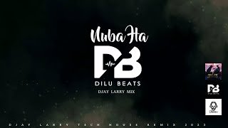 Nuba Ha Suraganak Wilasa (DJAY LARRY MIX)