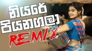 Niyare Piyanagala ReMix