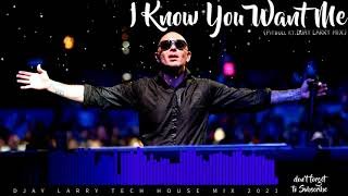 I Know You Want Me DJAY LARRY MIX